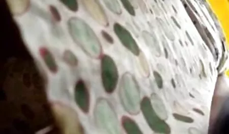 Zamiast wesoła dziewczyna ostre rzniecie filmy za darmo ze mną na czacie Część 1