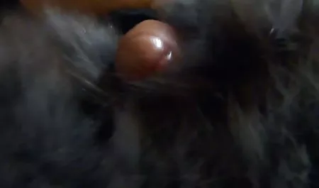 Wielki kutas i pyta w ostre rzniecie filmy za darmo обсосано